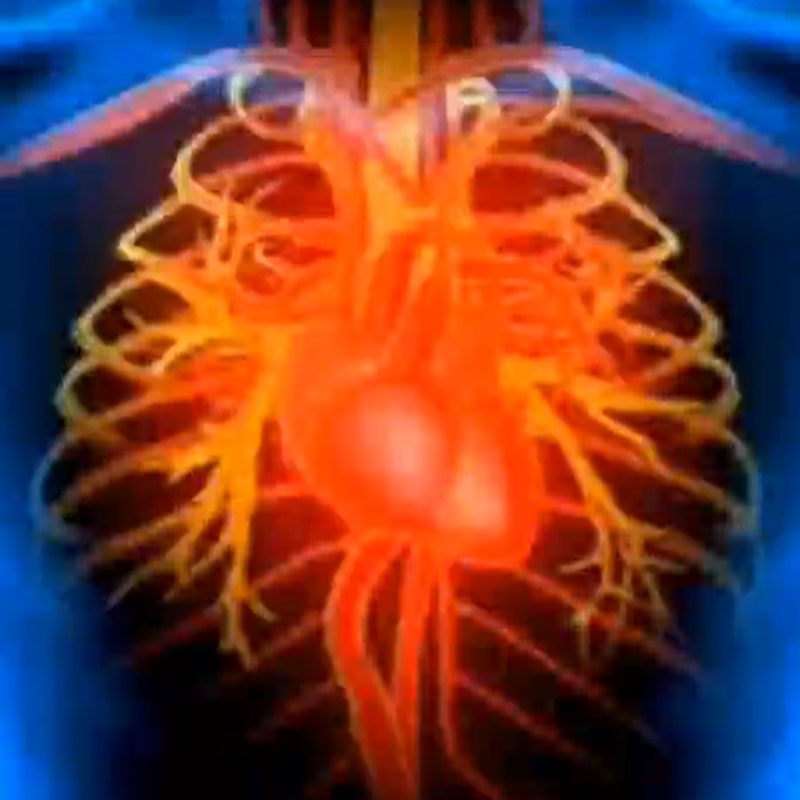 食药同源健康中心